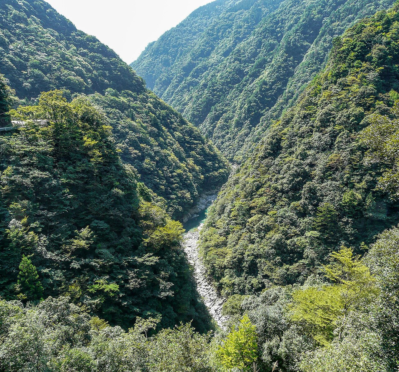 祖谷溪谷風景