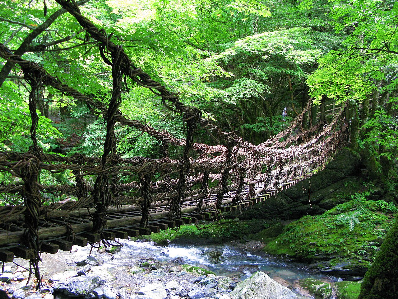 奧祖谷二重蔓橋